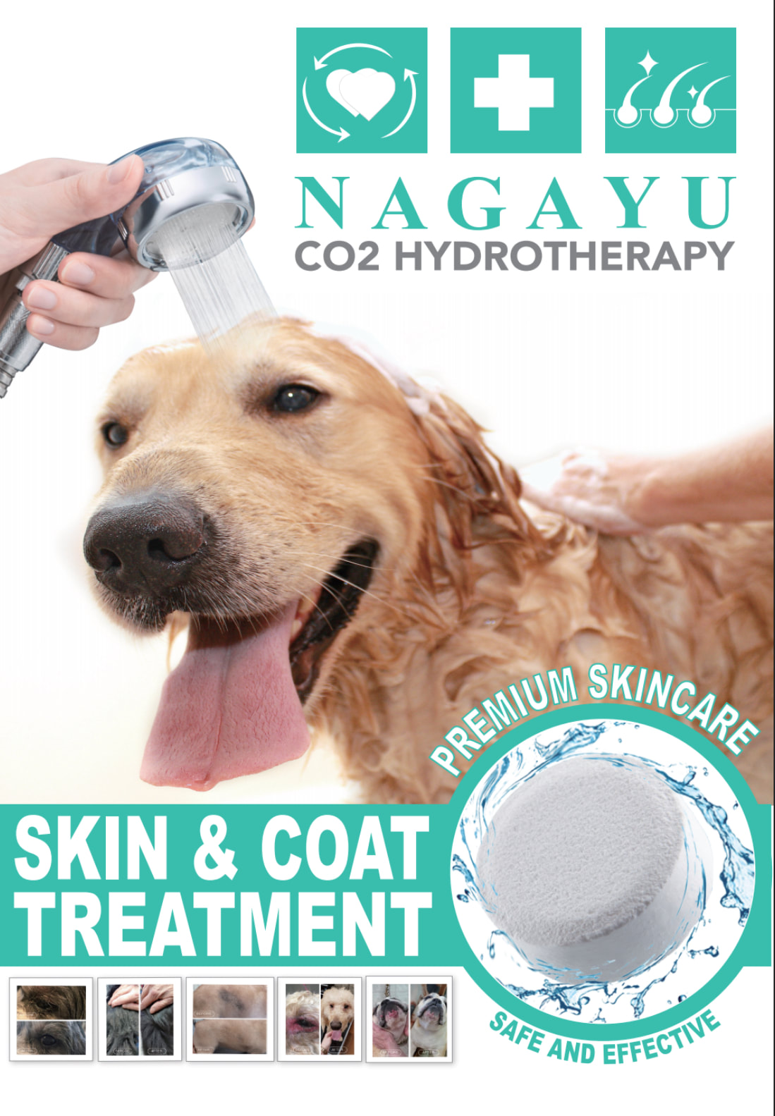 //spa4pawsonline.com/wp-content/uploads/2025/03/Nagayu.jpeg